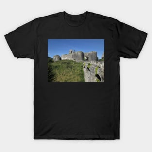 Corfe Castle & Herdwick Sheep, Dorset, England T-Shirt